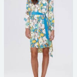 Diane Von Furstenburg Dress Prita L